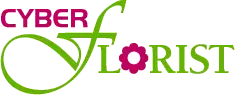 Cyber Florist coupons and offers