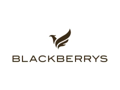 Blackberrys coupons and offers Blackberrys coupons and offers