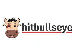 HitBullsEye coupons and offers