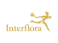 Interflora coupons and offers
