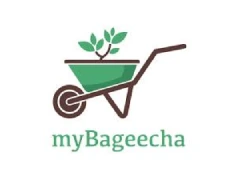 MyBageecha  coupons and offers